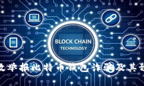 如何有效举报比特币钱包诈骗及其预防措施