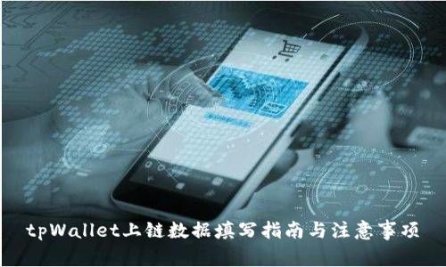 tpWallet上链数据填写指南与注意事项
