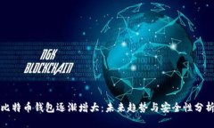 比特币钱包逐渐增大：未