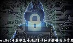 如何在tpwallet中获取充币地
