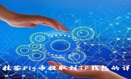 如何将抹茶Pig币提取到TP钱包的详细指南