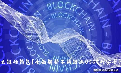 USDT使用什么链的钱包？全面解析不同链上USDT的安全性与使用指南