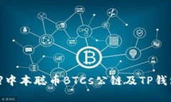 【全面解析】中本聪币B