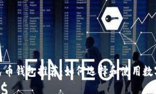 最佳数字人民币钱包推荐：如何选择和使用数字人民币钱包