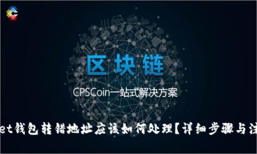 TPWallet钱包转错地址应该如何处理？详细步骤与注意事项