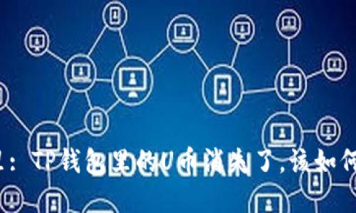 在这里: TP钱包里的U币消失了，该如何处理？