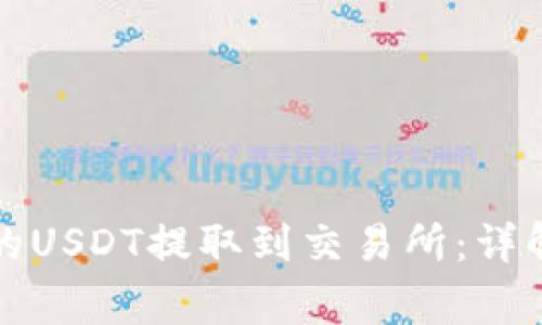 如何将TP钱包中的USDT提取到交易所：详解步骤与注意事项
