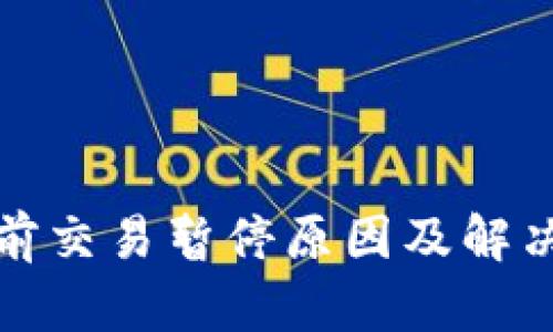 TP钱包当前交易暂停原因及解决方案详解