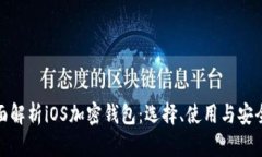 全面解析iOS加密钱包：选