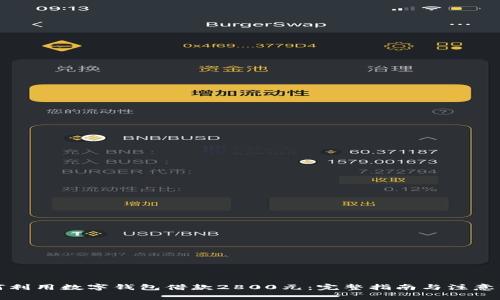 如何利用数字钱包借款2800元：完整指南与注意事项