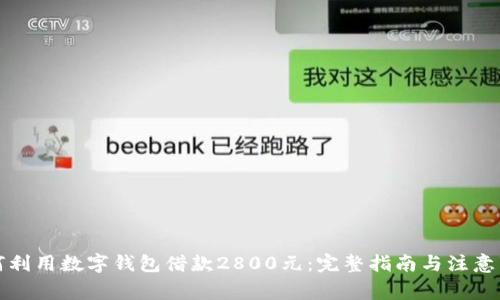如何利用数字钱包借款2800元：完整指南与注意事项