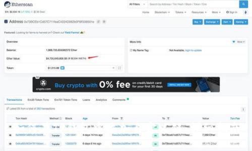 如何在TP钱包中添加自定义链：详细指南