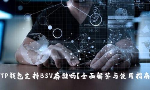 TP钱包支持BSV存储吗？全面解答与使用指南