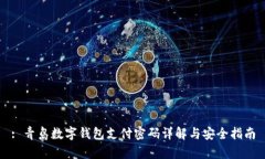 : 青岛数字钱包支付密码详解与安全指南