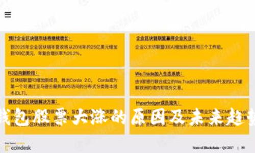 数字钱包股票大涨的原因及未来趋势分析