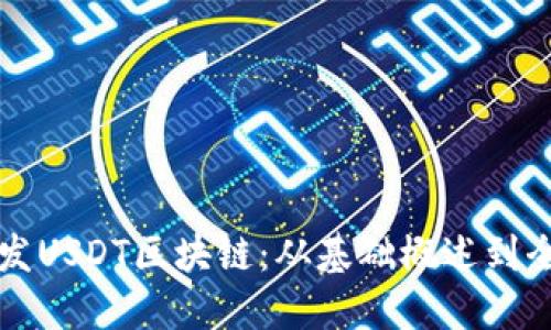 如何开发USDT区块链：从基础概述到全面指南