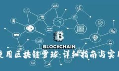 如何使用区块链雪球：详细指南与实用技巧